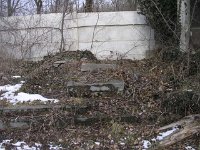 081 Jánosi Engel Gyula